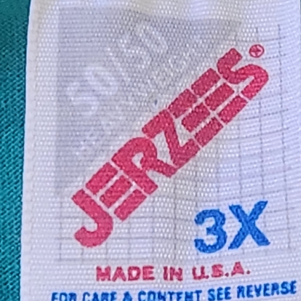 Plus Sized Jerzees Teal Dog Duo T-Shirt - Picture 3 of 3